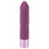 Vibrador Elegante Recarregável à Prova d'Água (Roxo)