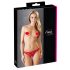 Cottelli - Tanga Sexy de Renda (Vermelho) - L