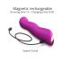 Love to Love Swap - Vibrador recarregável e pulsante para Ponto G (roxo)