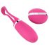 Dorcel Secret Delight - Ovo Vibratório com Controle Remoto (rosa)