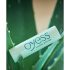 Oyess BIO - Bálsamo Labial Natural (Aloe Vera)