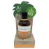 Coconutoil - Óleo Bronzeador Bio (80ml)