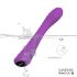 Sex HD Sunshine: Vibrador G-spot recarregável texturizado (roxo)