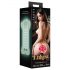 Enlust Tasha - Luminosa Vagina e Bumbum com IA (Natural)