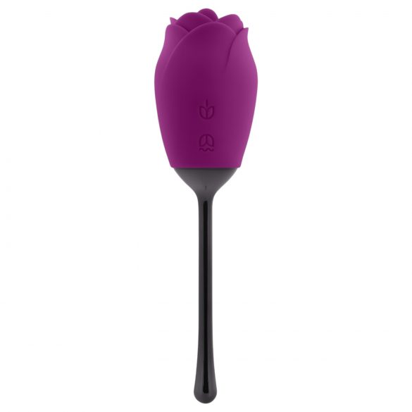 Playboy - Vibrador Rosa Língua Recarga, À Prova d'Água (Roxo)